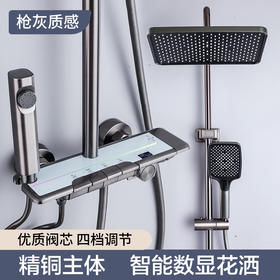 8237那拉提全铜花洒-枪灰