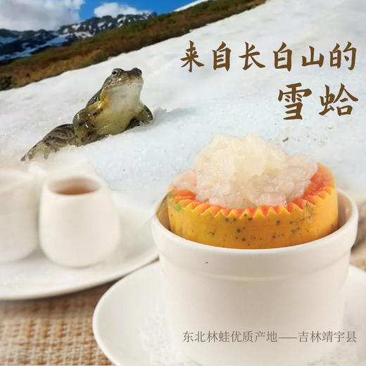 正安 雪蛤线油 赞安原材 女性滋养羹品 煲汤用料 来自长白山的雪蛤 平均约2~3g/根【不可用券】 商品图0
