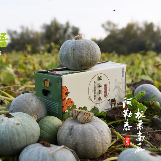 新疆 阿勒泰 板栗南瓜，霜降后采摘，粉，干，甜，香，营养价值高，老少皆宜！ 商品图2