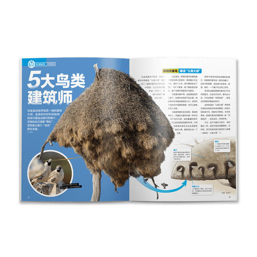 《好奇号》12期征订 商品图13