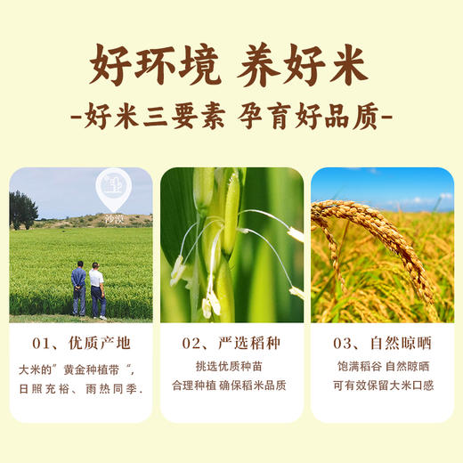 【内蒙古帮扶】定丰农场  珍珠香沙漠大米  5kg/袋 商品图2