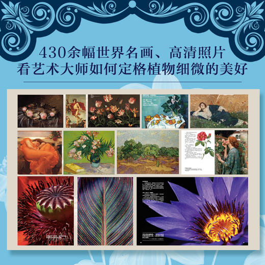 花果树的动人传说：百年经典博物画集 精装 商品图4