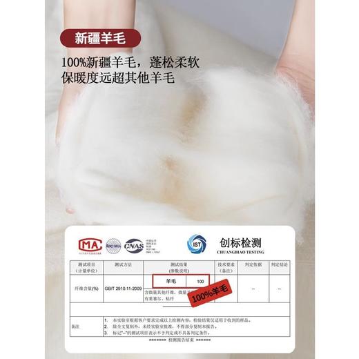 三泰龙 100%纯羊毛被芯加厚保暖秋冬被 商品图2