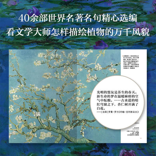 花果树的动人传说：百年经典博物画集 精装 商品图5