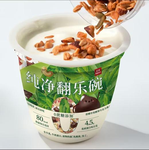 乐纯纯净翻乐碗草莓腰果黑巧燕麦165g-22207227 商品图0