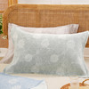 藤蔓秋海棠系列枕巾全棉高档轻奢高级感四季通用高端舒适耐用亲肤 商品缩略图1