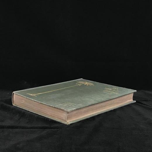 1909年 西印度群岛风物志 数百幅插图 漆布精装16开 商品图1