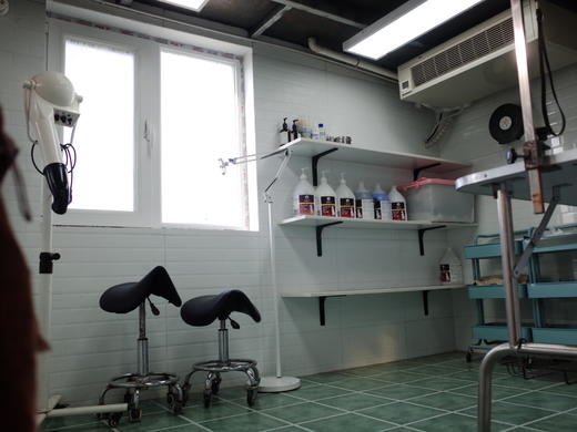 犬儿洁浴 商品图14