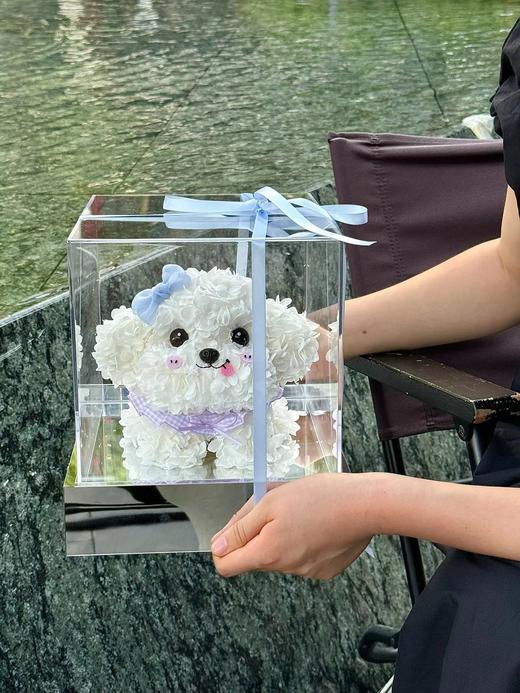 网红爆品迷你比熊永生花生日送花送闺蜜送女朋友特别礼物 商品图7