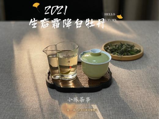 【世所罕见的珍藏级好茶】2021有机霜降白牡丹，每4年独一份的好茶，藏在深深深秋里的春意盎然 商品图4