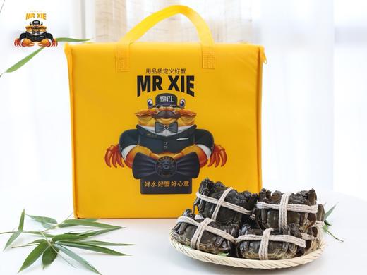 蟹鲜生丨阳澄湖大闸蟹 多规格可选  【赠品：1瓶蟹醋 2包姜茶 2包紫苏】 商品图0