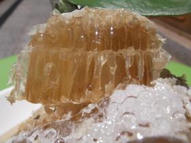 高原深山野生百花蜜