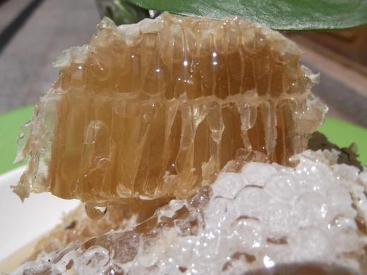 高原深山野生百花蜜 商品图0