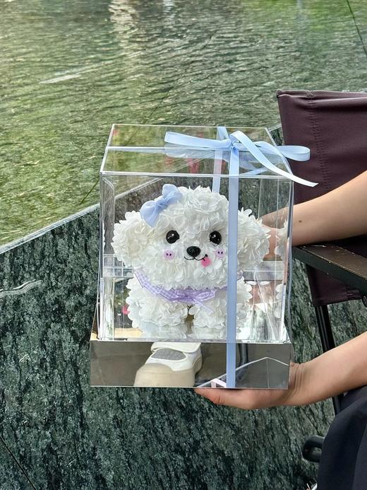 网红爆品迷你比熊永生花生日送花送闺蜜送女朋友特别礼物 商品图14