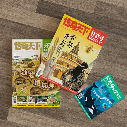 《好奇号》12期征订 商品图1