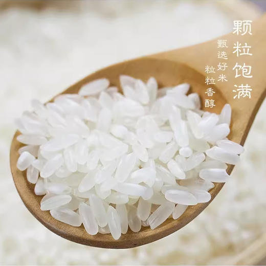 【内蒙古帮扶】定丰农场 稻花香沙漠大米   2.5kg 商品图5