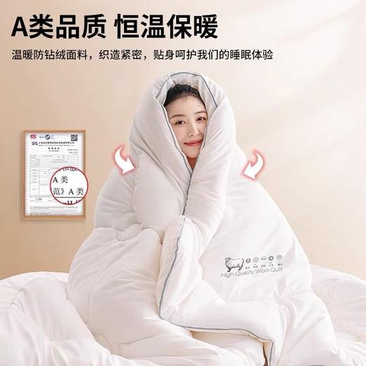 三泰龙 100%纯羊毛被芯加厚保暖秋冬被 商品图1