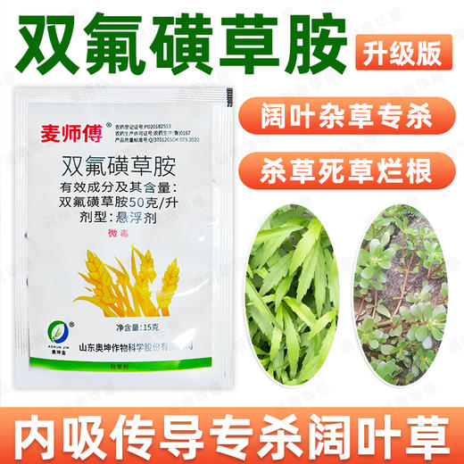 麦师傅双氟磺草胺小麦大田作物除一年生阔叶杂草专用除草剂正品 商品图4