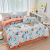 2024秋冬加厚风小清新牛奶绒四件套 商品缩略图2