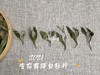 【世所罕见的珍藏级好茶】2021有机霜降白牡丹，每4年独一份的好茶，藏在深深深秋里的春意盎然 商品缩略图2