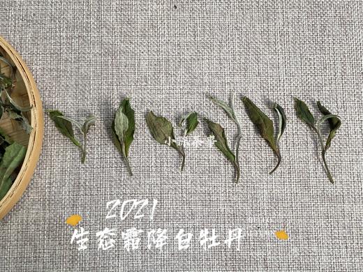 【世所罕见的珍藏级好茶】2021有机霜降白牡丹，每4年独一份的好茶，藏在深深深秋里的春意盎然 商品图2
