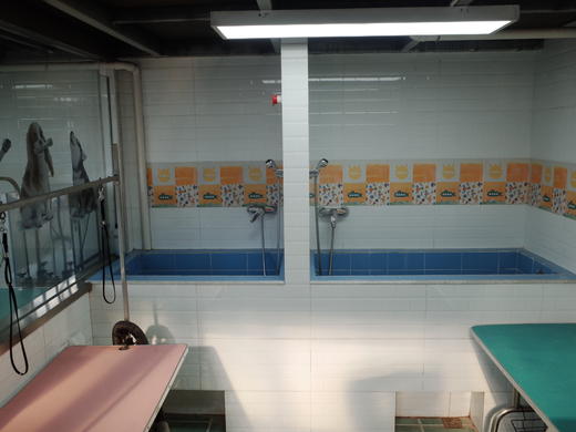 犬儿洁浴 商品图10