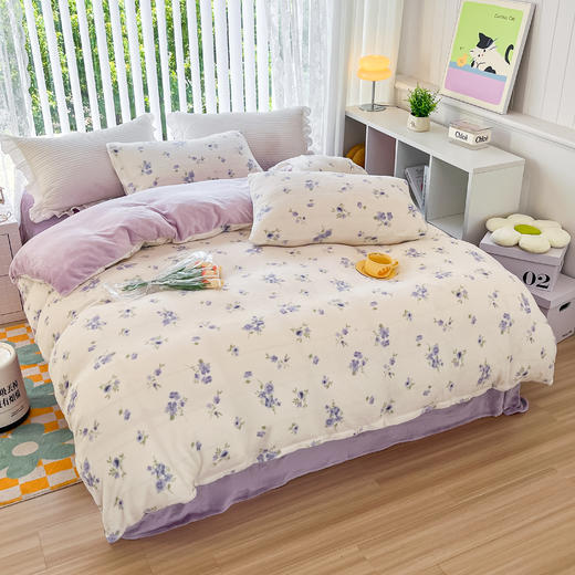 2024秋冬加厚风小清新牛奶绒四件套 商品图8