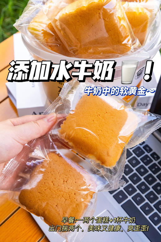 🔥山姆同厂同款❌【古田森水牛奶蛋糕】不加一滴水💧只用水牛纯奶和面🌞牛奶中的软黄金~ 💥≥51%无菌全蛋液🥚湿润轻盈✨甜而不腻  商品图1