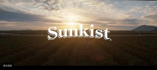 橙子界的爱马仕！澳洲进口新奇士Sunkist 3107黑标橙！ 商品图6