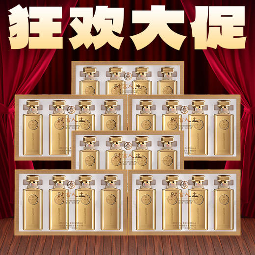 【狂欢大促】五粮液 财富人生 金砖 浓香型 52度 125ml*4*6【整箱】 商品图0