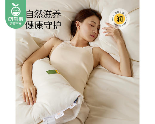 【预售-12月29日配送】佳丽斯60支全棉植物大豆被（暖冬被）/1件（220*240cm，总重约3.5kg） 商品图1