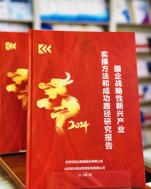 研究报告 《国企战略性新兴产业 实操方法和成功路径研究报告 （2024）》 商品图1