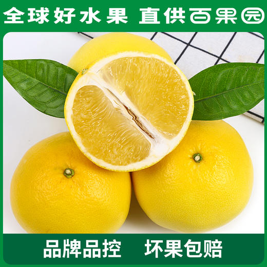 PAGODA百果园 黄金葡萄柚4.5斤彩箱装 商品图1
