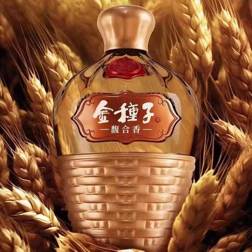 金种子馥合香16年50度500ml*1（整箱6瓶装）【FY】 商品图3