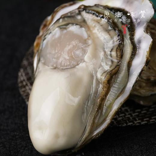 乳山深海生蚝（基地直发-顺丰包邮） | 多种规格，来自乳山，生产者：余锦涛【合作生产，公平贸易】 商品图8