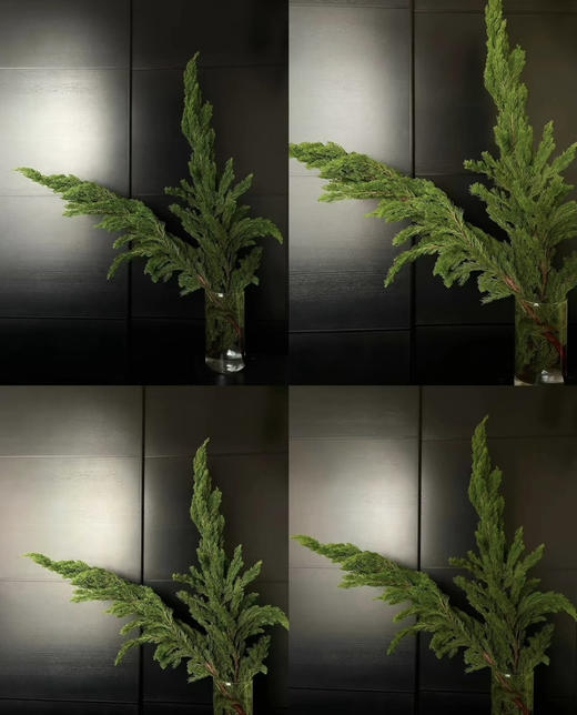 【叶材】龙柏松   若干枝/扎 商品图0