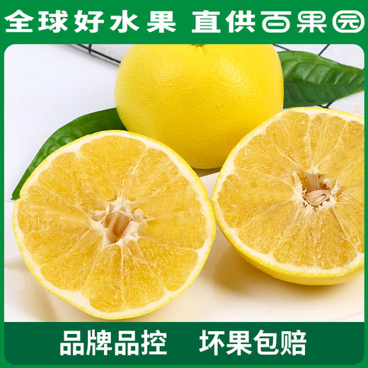 PAGODA百果园 黄金葡萄柚4.5斤彩箱装 商品图2