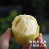 【外面买不到系列】罗汉果普洱 清甜 温润消食 商品缩略图1