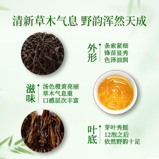 正山堂 宋风雅韵正山小种野茶礼盒装 特级红茶叶年货送礼100g 商品图6