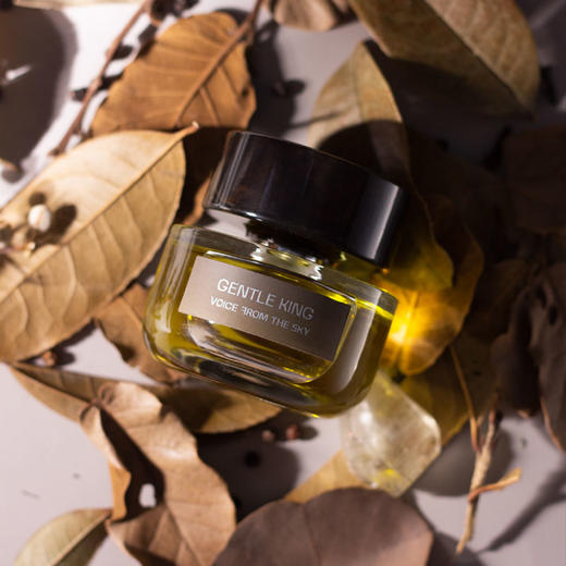 天乐 温柔的狮 Voice From The Sky Gentle King 分装 【恰到好处的动物感，躁动、温柔、狂野、克制】 商品图4