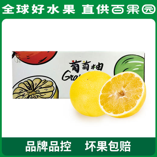 PAGODA百果园 黄金葡萄柚4.5斤彩箱装 商品图5