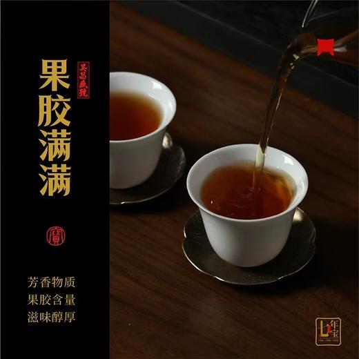 福鼎白茶 | 一叶九鼎 2017年磻溪七年宝 老白茶砖500g/砖 商品图3