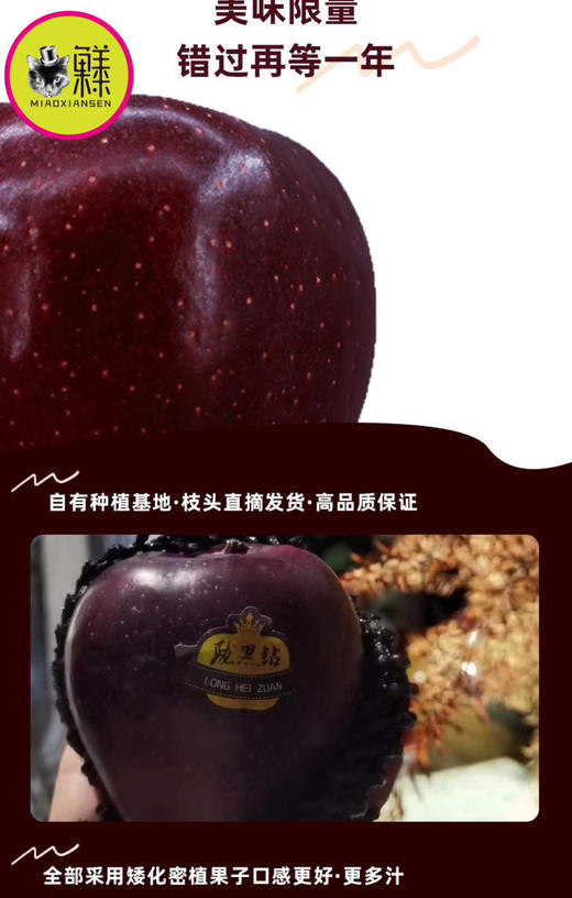 喵菓基地～甘肃天水黑钻苹果（礼盒5-6斤装12枚）全国包邮 商品图11