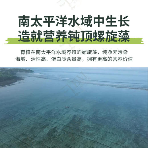 Dewi黛维螺旋藻粉大麦草汁粉绿色安东尼疗法调理肠胃重排果昔净化 商品图1