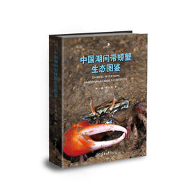 张小蜂《中国潮间带螃蟹生态图鉴》