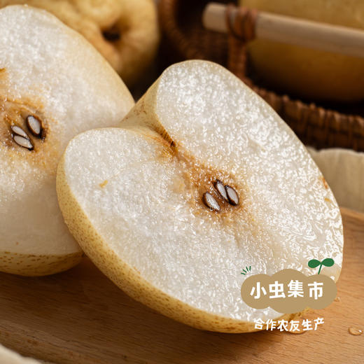 太行山有机酥梨 5斤 | 合作农友生产，产自山西黎城，生产者：张韶明 *【公平贸易农人定价】 商品图13