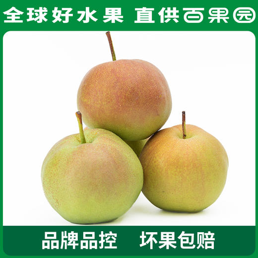 PAGODA百果园 玉露香梨4.5斤家庭装 商品图4