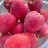 【顺丰】迷你的清脆酸甜 | 东北鸡心果小苹果 新鲜水果 小/中/大果 多规格 3斤5斤装 商品缩略图7