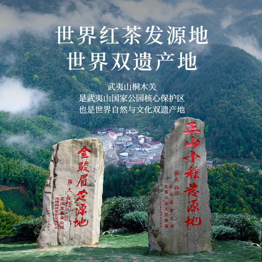 正山堂 宋风雅韵正山小种野茶礼盒装 特级红茶叶年货送礼100g 商品图5