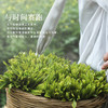 【2025新茶上市】谢裕大手工捏尖太平猴魁盛世6000听装绿茶50g 商品缩略图3